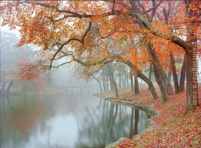 Unknown Artist Mike Jones Autumn Reflections